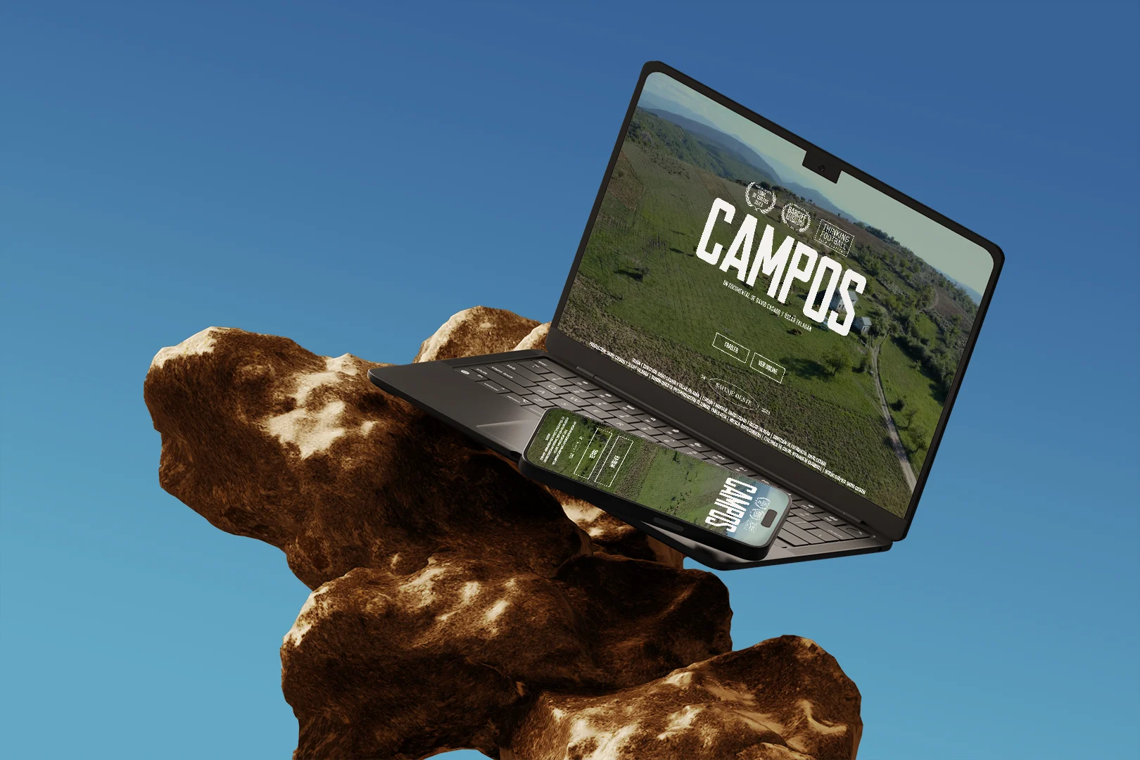 portátil encima de un arbol seco con la web de Campos abierta